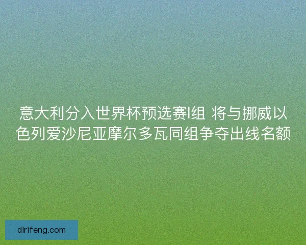 意大利分入世界杯预选赛I组 将与挪威以色列爱沙尼亚摩尔多瓦同组争夺出线名额