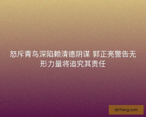 怒斥青鸟深陷赖清德阴谋 郭正亮警告无形力量将追究其责任